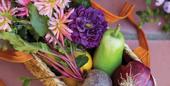 Ayurveda: The Superhero of the Wellness World