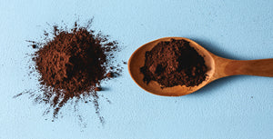 The Magical Powers of Cacao Offer Healthy Reasons to Indulge in the Food of the Gods